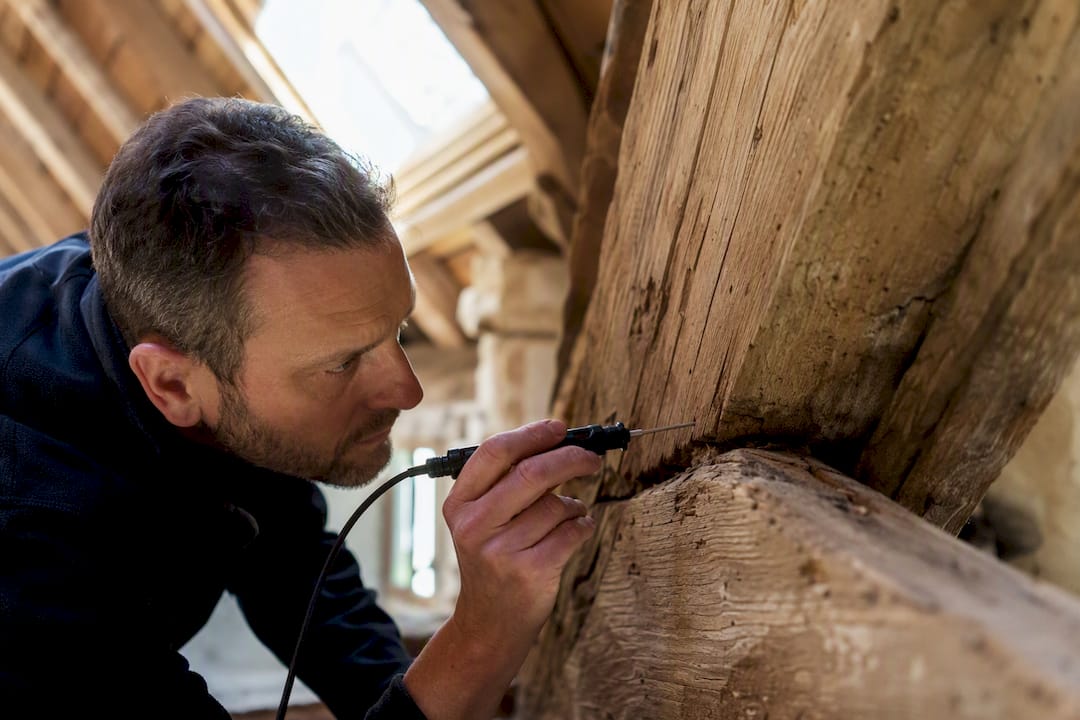 Sonde d'inspection des termites dans les fissures d'une poutre en bois