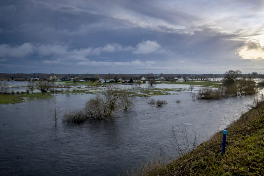 Plaine inondable de la Vilaine observée depuis la rive