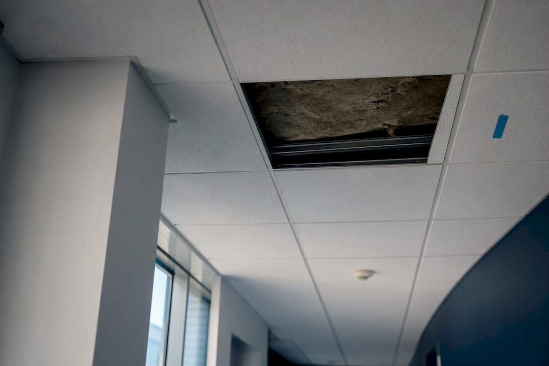 Plafond suspendu en dalles vu en contre-plongée