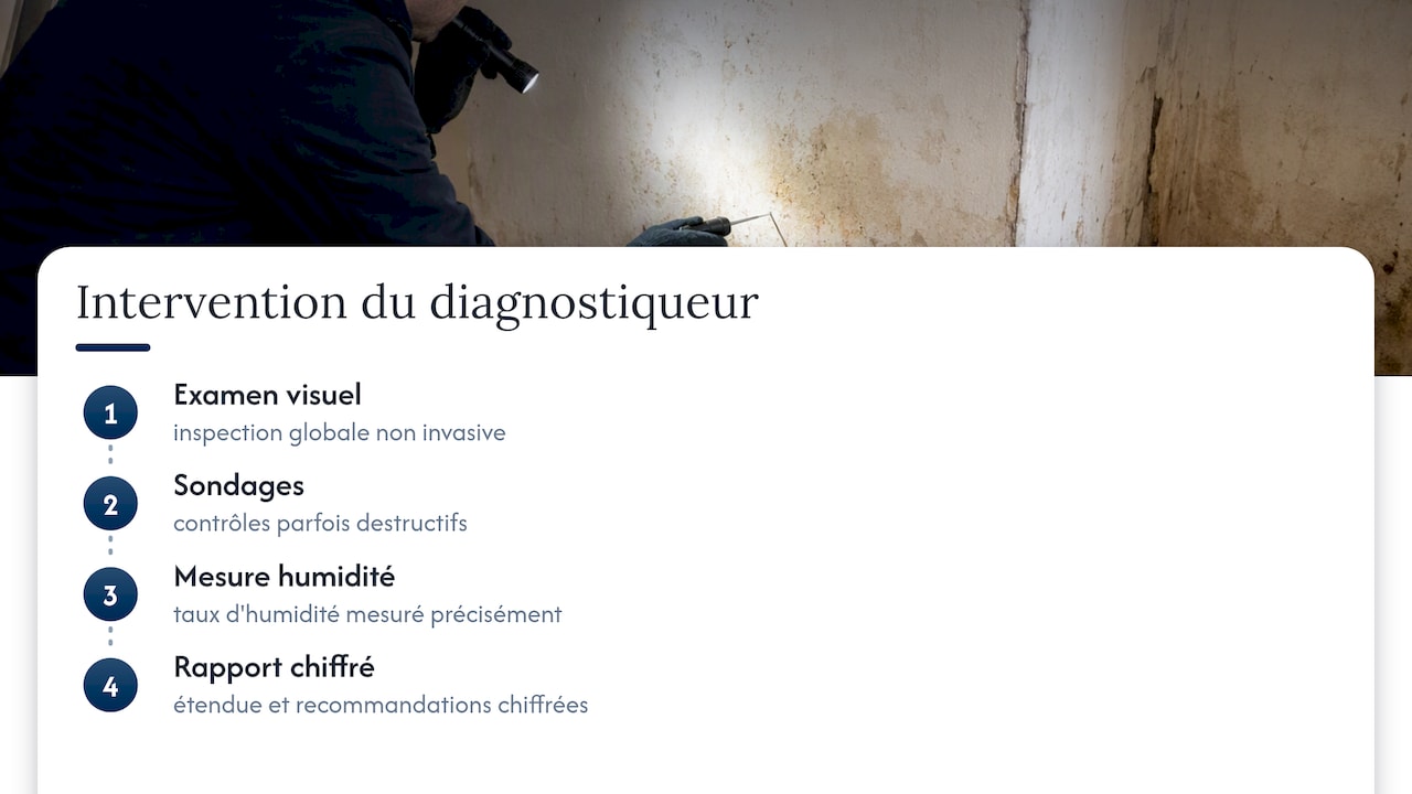 Les étapes d’un diagnostic de mérule
